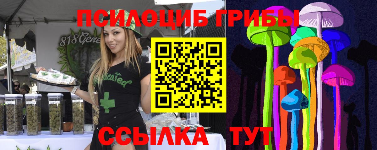 Псилоцибиновые грибы Psilocybine cubensis Изобильный