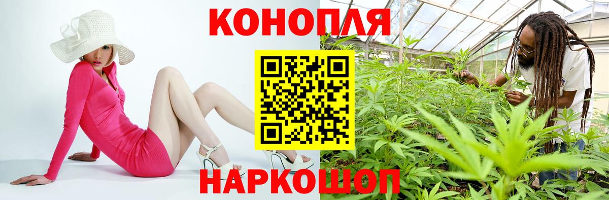 Канабис Bruce Banner Изобильный